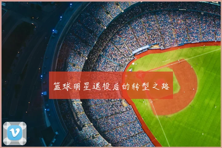 篮球明星退役后的转型之路